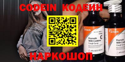 Альфа ПВП Малгобек