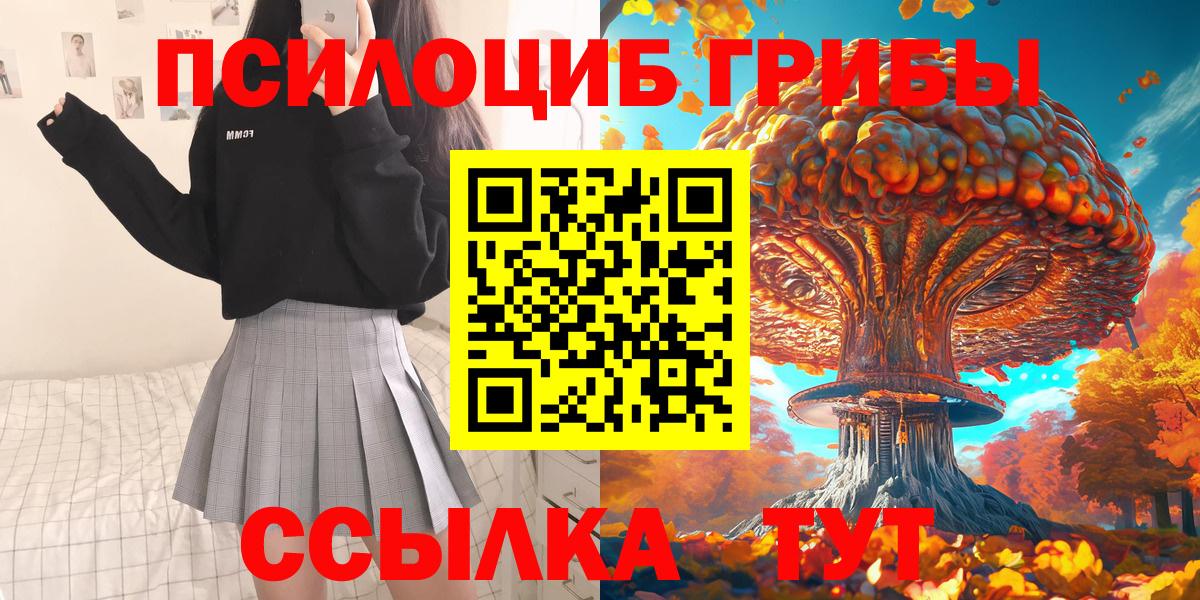 Псилоцибиновые грибы Psilocybe Десногорск